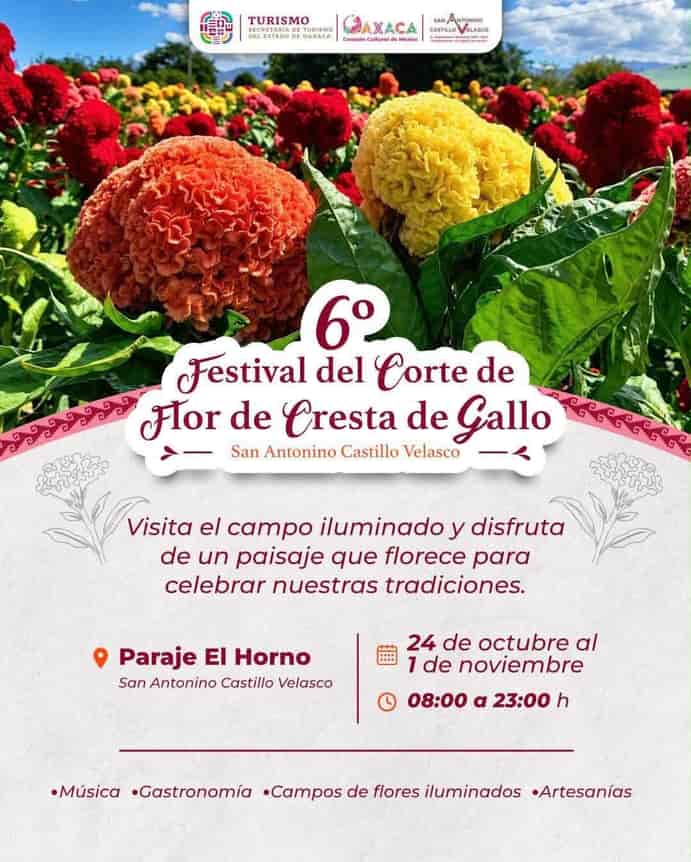 Festival del Corte de For de Cresta de Gallo — evento en Oaxaca en Paraje El Horno